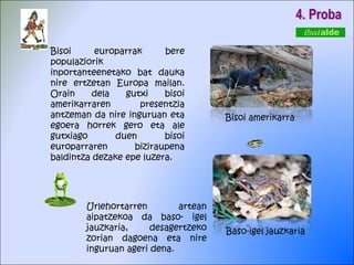 4. Proba Bisoi europarrak bere populaziorik inportanteenetako bat dauka nire ertzetan Europa mailan. Orain dela gutxi bisoi amerikarraren presentzia antzeman da nire inguruan eta egoera horrek gero eta ale gutxiago duen bisoi europarraren biziraupena baldintza dezake epe luzera. Bisoi amerikarra Urlehortarren artean aipatzekoa da baso- igel jauzkaria, desagertzeko zorian dagoena eta nire inguruan ageri dena.  Baso-igel jauzkaria 