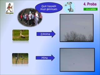 4. Proba Guk hauxek ikusi genituen Zikoina Mika 