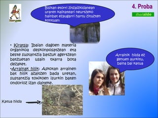 4. Proba Kiratsa : Ibaian dagoen materia organikoa deskonposatzean eta beste sustantzia batzuk agertzean batzuetan usain txarra bota dezaket. Arrainak hilik : Askotan arrainen bat hilik azaltzen bada uretan, sustantzia toxikoen isurkin baten ondorioz izan daiteke.  Bisitan etorri zitzaizkidanean uraren kalitateari neurtzeko hainbat ezaugarri hartu zituzten kontuan: Arrainik  hilda ez genuen aurkitu, baina bai katua Katua hilda 