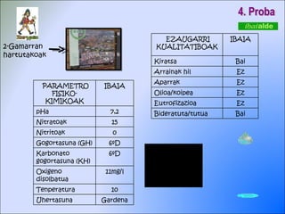 4. Proba 2-Gamarran  hartutakoak EZAUGARRI KUALITATIBOAK IBAIA Kiratsa Bai Arrainak hil Ez Aparrak Ez Olioa/koipea Ez Eutrofizazioa Ez Bideratuta/tutua Bai PARAMETRO FISIKO-KIMIKOAK IBAIA pHa 7,2 Nitratoak  15 Nitritoak 0 Gogortasuna (GH) 6ºD Karbonato gogortasuna (KH) 6ºD Oxigeno disolbatua 11mg/l Tenperatura 10 Uhertasuna Gardena 