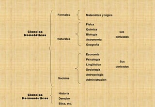 Ciencias Nomotéticas Formales Naturales Sociales Matemática y lógica Física Química Biología Astronomía Geografía Economía Psicología Lingüística Sociología Antropología Administración sus  derivados Sus derivados Ciencias Hermenéuticas Historia Derecho Etica, etc. 