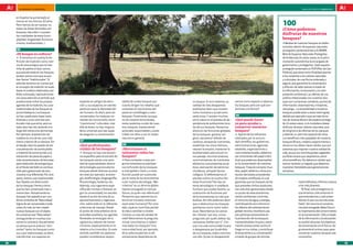 100 preguntas, 100 respuestas                                                                                                                                                                      andalUCía InnOVa. FEBRERO 2011




     en España ha aumentado al
     menos en los últimos 20 años.
     Pero hemos de ser cautos: no                                                                                                                                                         100
     todas las áreas forestales son                                                                                                                                                       ¿Cómo podemos
     bosques naturales ni poseen
     las cualidades de éstos (com-
                                                                                                                                                                                          disfrutar de nuestros
     plejidad, longevidad, funciona-                                                                                                                                                      bosques?
     miento, biodiversidad…).                                                                                                                                                             DD Muchos de nuestros bosques se hallan
                                                                                                                                                                                          incluidos dentro de espacios naturales
     96                                                                                                                                                                                   protegidos, pertenecientes a la RENPA
     ¿El bosque es cultura?                                                                                                                                                               (Red de Espacios Naturales Protegidos
     DD tenemos en cuenta la de-
        Si                                                                                                                                                                                de Andalucía). En estos casos, es la admi-
     finición de tradición como noti-                                                                                                                                                     nistración autonómica la encargada de
     cia de cosa antigua que se tras-                                                                                                                                                     gestionarlos y protegerlos. Cada espacio
     mite de padres a hijos, vemos                                                                                                                                                        protegido contempla un PUP (Plan de Uso
     que actualmente en los bosques                                                                                                                                                       Público), que tiene como finalidad acercar
     existen pocos usos que se pue-                                                                                                                                                       a los visitantes a los valores naturales
     dan llamar “tradicionales”. Si                                                                                                                                                       y culturales, de una forma ordenada y
     además tenemos en cuenta que                                                                                                                                                         segura, que garantice la conservación
     el concepto de tradición se suele                                                                                                                                                    y difusión de tales valores a través de
     basar en análisis elaborados por                                                                                                                                                     la información, la educación y la inter-
     élites cultivadas, habitualmente                                                                                                                                                     pretación ambiental. Las ofertas de uso
     con poca atención al sentido que                                                                                                                                                     público relacionadas con nuestros bos-
     pudiera tener entre los propios      especies en peligro de extin-       sables de cuidar bosques por        su bosque. Si se lo talamos, su    semos como especie si talamos        ques son numerosas: senderos, puntos de
     agentes de la tradición, los usos    ción y, sus espacios, en valores    cuanto dirigen los rebaños que      calidad de vida desaparece;        los bosques pero ¿en qué con-        información, observatorios, miradores,
     tradicionales de los bosques es      positivos para la identidad del     controlan el crecimiento del        podríamos decir que mueren         diciones viviríamos?                 campings… La accesibilidad a nuestros
     pura entelequia. Los bosques         ser humano. Es decir, para ser      pasto en cortafuegos y soto-        como humanos y quizá como                                               bosques puede estar a veces restringida,
     se han usado para cosas harto        conservados, los bosques ne-        bosques. Finalmente, aunque         seres vivos. Y existen muchos      99                                   debido por ejemplo a que se trate de zo-
     diversas y unos usos han per-        cesitan ser construidos como        no de manera remunerada,            otros casos en el planeta de de-   ¿Qué puedo hacer                     nas de reserva dentro del espacio protegi-
     durado más que otros, pero en        “invenciones” culturales; más       todos podemos cuidar de nues-       pendencia de poblaciones loca-     yo para ayudar a                     do. En estos casos, si el ciudadano desea
     todo caso han ido variando a lo      allá de éstas, no hay ninguna       tros bosques, manteniendo           les de sus bosques. Pensemos       conservar nuestros                   disfrutar de estos valores naturales, pue-
     largo del transcurso del tiempo.     ética universal que sea capaz       actitudes responsables y soste-     ahora en las funciones globales    bosques?                             de dirigirse a las oficinas de los parques
     Por ejemplo, la extracción de        de asegurar su conservación.        nibles con ellos y con el medio     de los bosques: generar oxí-       DD Aparte de los esfuerzos           y obtener un permiso especial de visita.
     madera es uno de los usos más                                            natural en general.                 geno, secuestrar dióxido de        realizados por la comuni-            Los beneficios más palpables de nuestros
     claros y típicos de un bosque. Sin   97                                                                      carbono, almacenar nutrientes,     dad científica, los gobiernos,       bosques (frutos, madera, esparcimiento y
     embargo, ésta ha pasado de ser       ¿Qué profesionales                  98                                  estabilizar los ciclos hídricos,   administraciones, agencias           otros) no nos deben hacer olvidar que son
     una extracción de combustible        cuidan de los bosques?              ¿Moriríamos si                      retener la erosión, mantener la    estatales, organizaciones y          sistemas que mejoran nuestra calidad de
     y material de construcción a la      DD Aunque no hay una discipli-      talásemos todos los                 biodiversidad, estructural co-     comunidades locales, debemos         vida, ya que sus constituyentes vegetales
     extracción de pasta de papel o,      na específica para el estudio de    bosques?                            mo paisaje, recursos directos,     ser conscientes del papel indivi-    purifican el aire que respiramos, entre
     más recientemente, de biomasa        los bosques, existe una varie-      DD contestar a esta pre-
                                                                                 Para                             suministradores de nutrientes      dual que podemos desempeñar          otros beneficios. No debemos olvidar que
     para obtención de energía (que       dad de especialidades dentro        gunta necesitamos plantear-         alóctonos a ecosistemas acuá-      en la conservación de nuestros       hemos recibido un legado que debemos
     en el fondo también es combus-       de la biología que estudia los      nos la función de los bosques       ticos, atenuación de extremos      bosques: Trata de comprar mue-       mantener heredable para generaciones
     tible pero gestionado de otra        bosques desde diversos puntos       a nivel global y local, y si esta   climáticos, almacén farma-         bles, papel, tableros y otros pro-   venideras.
     manera muy diferente). Por otra      de vista: por ejemplo, la ecolo-    función puede ser sustituida        cológico. Si deforestamos el       ductos derivados procedentes
     parte, ciertos usos tradicionales    gía, ecofisiología, biogeografía,   por el resto de los ecosistemas     planeta ¿cómo se sustituirían      de madera certificada, lo cual
     han llevado a la destrucción         fitosociología, botánica, etc.      o por nuestra tecnología. “Mo-      estas funciones? No hay sis-       garantiza que los bosques de los                  riado (reforesta, informa y educa
     de los bosques, frente a otros       Además, una ingeniería espe-        riríamos” es un término globa-      tema tecnológico ni artefacto      que proceden dichos productos                     a los más jóvenes).
     que los han conservado más o         cífica (de montes o forestal, se-   lizante conjugado en tiempo         humano que pueda hacerlo. La       han sido bien gestionados desde                      “Al final, solo protegemos lo
     menos bien. Actualmente los          gún la universidad), los estudia    futuro, ¿a quién nos referimos?     sustitución de funciones por       un punto de vista económico,                      que amamos; solo amamos lo
     bosques han pasado a ser uno         desde el punto de vista de su       Pensemos que razonamos so-          otros ecosistemas es más que       social y ambiental; minimiza                      que entendemos; y solo enten-
     de los símbolos de “Naturaleza”      aprovechamiento y regenera-         bre el ser humano, entonces         dudosa. Por ello podemos decir     el consumo de agua y energía,                     demos lo que nos ha sido ense-
     digna de ser conservada a toda       ción, sobre todo en lo referente    ¿qué seres humanos? Por otro        que si destruimos los bosques      contribuyendo así a disminuir                     ñado”. Así resume el conserva-
     costa. Es más, se han creado         a técnicas de manejo. Desde         lado, ¿qué es morir?¿es perder      podríamos morir como indivi-       los efectos del calentamiento                     cionista senegalés Baba Dioum
     nuevos bosques con el objeto         el punto de vista práctico de la    la vida o cambiar a niveles         duos. Recordemos los versos        global; recicla y reutiliza tu pa-                la importancia del conocimiento
     de conservar esa “Naturaleza”,       actividad cotidiana, los agentes    míseros un tipo de calidad de       de J. Doone: “por eso, nunca       pel; participa activamente en                     en la conservación. Sólo a través
     consiguiendo en muchas oca-          forestales se encargan de la        vida? Retomemos la pregunta         preguntes por quién doblan las     la protección de los bosques,                     de la información y la educación
     siones lo contrario. Actualmente     vigilancia y labores de mante-      inicial: ¿moriríamos si taláse-     campanas; doblan por ti”. Con      manteniéndolos limpios y extre-                   se podrán alcanzar los objetivos
     se piensa que es preciso “rein-      nimiento, especialmente en lo       mos todos los bosques? Una          que una sola comunidad muera       mando precauciones contra el                      de conservación en el futuro. Se-
     ventar” tanto los bosques como       relativo a los incendios. En este   comunidad local, por ejemplo,       o desaparezca por la pérdida       fuego en tus visitas, y contribuye                guramente el primer paso para
     sus usos tradicionales, es decir,    sentido, también los pastores       de la selva ecuatorial, es ab-      de sus bosques, todos morimos      directamente a su conservación                    conservar nuestros bosques sea
     transformar sus especies en          pueden considerarse respon-         solutamente dependiente de          con ella. Quizá no desaparecié-    a través de grupos de volunta-                    conocerlos.

38                                                                                                                                                                                                                                         39
 