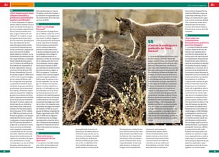 100 preguntas, 100 respuestas                                                                                                                                                                andalUCía InnOVa. FEBRERO 2011



     52                                  Está representado en más de                                                                                                                             túan juntos ni de igual forma
     ¿Qué importancia tiene              50 países, entre ellos España, y                                                                                                                        sobre las diferentes masas de
     adquirir muebles y                  es miembro de organizaciones                                                                                                                            quercíneas enfermas, sin em-
     productos procedentes               de conservación de la naturale-                                                                                                                         bargo, en ocasiones dan lugar
     madera certificada?                 za como la UICN.                                                                                                                                        a los mismos síntomas: defolia-
     DD  Como respuesta a la preocu-                                                                                                                                                             ción, muerte de ramas, abun-
     pación sobre la presión a la que    53                                                                                                                                                      dante emisión de renuevos,
     están sometidos los bosques y       ¿Qué es una plaga                                                                                                                                       necrosis del sistema radical y,
     las comunidades dependientes        forestal?                                                                                                                                               finalmente, la muerte del árbol
     de los mismos a escala mun-         DD concepto de plaga fores-
                                            El                                                                                                                                                   completo.
     dial, surge el sistema de “cer-     tal, se refiere a todos los anima-
     tificación” de madera, un aval      les, plantas y microorganismos                                                                                                                          56
     que garantiza al consumidor         que tienen un efecto negativo                                                                                                                           ¿Son todos los
     que los productos que adquiere
     han sido obtenidos de bos-
                                         sobre la producción de bosques
                                         y otras superficies forestales.                                                                              55                                         tratamientos
                                                                                                                                                                                                 fitosanitarios positivos
     ques bien gestionados desde         Este concepto es antropocén-                                                                                 ¿Cuál es la madriguera                     para los bosques?
     un punto de vista económico,        trico e incluye el elemento                                                                                                                             DD sostenibilidad de ciertos
                                                                                                                                                                                                    La
     social y ambiental, asegurando      económico para determinar
                                                                                                                                                      preferida del lince                        bosques depende del tipo de
     que la compra de muebles,           cuándo una especie puede ser                                                                                 ibérico?                                   relación que establezcamos
     papel, tableros o carbón, no ha     considerada como plaga. Es                                                                                                                              con ellos. En este sentido, de-
     contribuido a la destrucción de     decir, podemos tener en un                                                                                   DD grandes huecos de troncos viejos
                                                                                                                                                         Los                                     bemos partir del hecho de que
     las masas arbóreas o a la explo-    bosque un millón de individuos                                                                               de alcornoques y encinas, típicos del      los tratamientos fitosanitarios
     tación laboral de otras perso-      de un insecto pero éste no se-                                                                               bosque mediterráneo, son los preferidos    (tratamientos para mejorar la
     nas. El sistema de certificación    rá considerado insecto-plaga                                                                                 por este gran felino como zona de cría y   salud de las plantas) se realizan
     de madera más destacable es         hasta que no ejerza un daño                                                                                  descanso. Precisamente, una de las ac-     en aquellos bosques sujetos a
     el de la organización interna-      que percibamos desde el punto                                                                                tuaciones más importantes que se están     explotación o uso social. Así, el
     cional sin ánimo de lucro FSC       de vista económico. Según la                                                                                 llevando a cabo para la recuperación del   aumento de la rentabilidad de
     (Forest Stewardship Council).       FAO, una plaga es “cualquier                                                                                 lince ibérico en la Reserva Biológica de   los bosques puede favorecer el
     El consejo surge en 1993 como       especie, raza o biotipo vegetal                                                                              Doñana, es colocar troncos de alcorno-     desarrollo rural y el cuidado del
     un forum de consenso integra-       o animal o agente patógeno                                                                                   ques huecos a fin de aumentar el núme-     propio ecosistema que genera
     do por países del Norte y del       dañino para las plantas o pro-                                                                               ro de madrigueras y favorecer así que      los beneficios. El problema
     Sur y organizaciones grandes        ductos vegetales”. Así, las pla-                                                                             más individuos consigan reproducirse       surge cuando intentamos ges-
     y pequeñas (miembros repre-         gas no siempre son insectos;                                                                                 a salvo, lejos de carreteras y cazadores   tionar únicamente la parte de
     sentantes de grupos sociales y      existen muchos mamíferos y                                                                                   furtivos. La colocación de este tipo de    bosque que nos interesa (es
     ambientales, de comerciantes        aves (p.e. el rabilargo) que son                                                                             madrigueras posee una importancia          decir, sólo la ganadería, sólo la
     de madera y forestales, organi-     consideradas como tal. Direc-                                                                                capital, no sólo para el caso de Doña-     producción de madera, sólo la
     zaciones de pueblos indígenas,      tamente proporcional a la di-                                                                                na, sino también para las gestiones de     conservación de ciertas espe-
     grupos comunitarios de fores-       versidad y cantidad de especies                                                                              conservación llevadas a cabo en Sierra     cies, etc.) sin considerar el eco-
     tales y organizaciones certifica-   arbóreas que hay en el bosque                                                                                Morena, donde se encuentra el núcleo       sistema en su conjunto. Es en-
     doras de productos forestales       mediterráneo es casi también                                                                                 poblacional más importante de esta         tonces cuando cualquier deci-
     de todo el mundo), y aplica las     la cantidad de plagas que habi-                                                                              especie. El felino más amenazado del       sión que tomemos sobre el ma-
     directrices de sus miembros         tan en ellos. Con respecto a las                                                                             planeta se enfrenta hoy día a la prueba    nejo del bosque, por ejemplo
     para desarrollar sistemas de        variedades de plagas forestales                                                                              más difícil para su especie; evitar la     la aplicación de tratamientos
     manejo y formas de custodia         de insectos, la FAO, en su pro-                                                                              endogamia causada por los pocos indi-      fitosanitarios contra determi-
     de los bosques. El FSC ratificó     grama de Manejo Integrado de                                                                                 viduos que quedan, y conseguir que la      nadas plagas o enfermedades,
     en 1996 los principios que de-      Plagas, registraba hasta 2002                                                                                cría efectiva de cachorros sea cada vez    puede generar cambios en el
     finirían la gestión y uso respon-   que un 80% de los registros                                                                                  más común en la naturaleza, gracias en     sistema. Sin embargo, ¿qué es
     sable de este recurso natural.      de intercepciones de plagas                                                                                  parte a este tipo de estructuras semina-   un cambio positivo: aquél que
     La etiqueta o marca registrada      correspondía a insectos del or-                                                                              turales.                                   sólo favorece la disminución
     del FSC permite identificar el      den Coleópteros (escarabajos),                                                                                                                          de una plaga, aquél que única-
     origen de un producto e incen-      seguido en importancia por el                                                                                                                           mente beneficia a una especie
     tiva la conciencia ambiental        orden Hymenópteros (avispas y                                                                                                                           protegida?, ¿tenemos suficien-
     sobre la gestión responsable        similares).                          principalmente la encina y el     forma gradual o súbita. Duran-      cinnamomi, que provoca la                    te conocimiento del medio
     y preservación de los recursos                                           alcornoque. Se define como un     te los últimos años se han reali-   podredumbre radical; altera-                 forestal como para saber qué
     naturales. Además, el Consejo       54                                   síndrome cuyas causas son nu-     zado estudios para determinar       ciones climáticas (tales como                cambios son positivos o nega-
     desarrolla procedimientos de        ¿Qué es la seca o                    merosas y complejas, resultado    los factores más importantes        sequías severas y recurrentes,               tivos, especialmente a medio y
     vigilancia y acredita a las agen-   decaimiento de los                   de la confluencia de factores     que actúan sobre los árboles y      encharcamientos estacionales                 largo plazo? La sostenibilidad
     cias certificadoras a escala        Quercus?                             bióticos y abióticos que produ-   causan el decaimiento de las        y contaminación atmosférica)                 de los bosques depende de que
     mundial que, a su vez, certifican   DD seca es una enfermedad
                                           La                                 cen, en fin, un debilitamiento    masas forestales. Entre estos       y cambios en el uso tradicional              sepamos responder a estas
     bosques y plantaciones me-          que sufren varias especies de        de los árboles afectados que      cabe destacar: el ataque de         de las dehesas y montes. Todos               preguntas a través de la inves-
     diante técnicos especializados.     árboles del género Quercus,          puede causar su muerte, ya de     hongos como Phytophthora            estos factores no siempre ac-                tigación y el conocimiento.

22                                                                                                                                                                                                                                    23
 