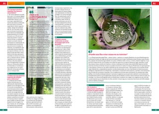 100 preguntas, 100 respuestas                                                                                                                                                                                     andalUCía InnOVa. FEBRERO 2011



     63                                                                                  biodiversidad y haciéndolo más
     ¿Es siempre positivo                                                                sensible a desequilibrios po-
     repoblar los montes
     con árboles?                              65                                        blacionales de insectos-plaga.
                                                                                         Una reforestación con fines de
     DD manera general se puede
        De                                     ¿Qué es la                                proteger una cuenca hidrográ-
     decir que sí. La cubierta vegetal                                                   fica, una restauración tras un
     arbolada proporciona servicios
                                               ecofisiología de los                      incendio o un fin paisajístico
     ambientales valiosos, como                bosques?                                  o recreativo debe utilizar es-
     una mayor capacidad de se-                DD ecofisiología es una disciplina
                                                   La                                    pecies autóctonas, por ser las
     cuestro de carbono, protección            científica que estudia las adaptacio-     de mejor adaptación al clima y
     del suelo frente a la erosión,            nes fisiológicas de los organismos ve-    suelo existentes, y también las
     capacidad de retener agua de              getales a su medio natural. Mediante      que la fauna autóctona reco-
     nieblas, refugio de biodiversi-           el conocimiento de los mecanismos         noce. En cualquier caso, debe
     dad, etc. Por otro lado, el bos-          fisiológicos de las plantas que cons-     utilizarse una variedad de espe-
     que constituye el ecosistema              tituyen una comunidad boscosa,            cies, y no una sola, para buscar
     de la máxima complejidad que              podemos explicar su distribución,         la mayor biodiversidad posible
     puede alcanzarse en el medio              abundancia e incluso los procesos de      en el sistema.
     terrestre y es el fin de los pro-         sucesión ecológica. La ecofisiología
     cesos de sucesión, lo que se              moderna es una ciencia de síntesis,       66
     llama el clímax. La repoblación           puesto que hace uso de los conoci-        ¿Cuánto cuesta
     acelera la sucesión natural,              mientos en ecología, botánica, fisiolo-   reforestar un área
     anticipando la implantación de            gía, bioquímica y biología molecular o    de bosque que se ha
     las especies que constituirán             física para describir los mecanismos      perdido?
     esta estructura compleja. No              fisiológicos que subyacen a cualquier     DD  Actualmente, se estima que
     obstante, una repoblación ade-            observación ecológica: “¿porqué las       el coste de una reforestación
     cuada debe hacerse eligiendo              especies de un bosque de ribera no        está entre los 1.000 y 3.000
     las especies idóneas y con una
     determinada densidad y distri-
                                               se encuentran en un bosque de enci-
                                               nas?”. La ecofisiología describe qué
                                                                                         € por hectárea de terreno en
                                                                                         España. A esto habría que su-          67
     bución de los pies, para que el           mecanismos poseen estas especies          mar el coste de mantenimiento          ¿Puede una flor criar ranas en su interior?
     resultado se acerque en lo posi-          para soportar o no suelos enchar-         tras la reforestación, que está
     ble a un bosque natural. Ciertas          cados, altas o bajas tasas de ilumi-      alrededor de los 200 € por             DD fitotelmata (del griego fhyto = planta y telma = pantano; en singular fitotelma y en plural fitotelmata) son
                                                                                                                                   Los
     repoblaciones con especies                nación, etc. Pero además, se utiliza      hectárea y año. Estos costes           ambientes formados por algunas estructuras de plantas (como hojas modificadas, partes florales, axilas florales,
     exóticas, altas densidades y              para “tomar el pulso” a las plantas y     hacen frente a la mano de obra         etc.), capaces de almacenar agua (desde unos pocos mililiteros hasta, incluso, un litro) y materia orgánica, lo que
     gran homogeneidad se parecen              comparar su “estado de salud” bajo        necesaria para realizar las            permite el desarrollo de una compleja comunidad de organismos acuáticos (bacterias, algas, pequeños crustá-
     más a un monocultivo exento               diferentes condiciones, de forma que      diferentes fases de actuación,         ceos, ácaros, larvas y adultos de insectos e, incluso, renacuajos de muchas ranas arborícolas), algunos de ellos
     de diversidad, sin sotobosque             podemos detectar los factores que         destacando la producción de            exclusivos de estos ambientes. Aunque se pueden encontrar en todo el mundo, los fitotelmata son particularmen-
     por la falta de luz y con poca            las afectan negativamente e, incluso,     las plantas o semillas (las cua-       te abundantes y diversos en las selvas tropicales (se han reconocido hasta 1.500 especies como posibles fitotel-
     oferta de nichos para la fauna,           adaptar y controlar dichas condicio-      les necesitan ser de calidad y         mata). Además de su capacidad de soportar una alta biodiversidad, son muy importantes en diversos procesos
     que a un bosque sano.                     nes cuando se realizan actuaciones        riqueza genética), el desbroce         ecológicos, especialmente en la dispersión, colonización e interacción entre especies y, también, como elementos
                                               de restauración de bosques y recu-        o limpieza del área a reforestar       estructurales de los bosques tropicales. Con el metabolismo de todo estos ecosistemas, las plantas (casi todas
     64                                        peración de poblaciones de especies       (para eliminar la competencia          epífitas, como las Bromeliáceas) obtienen nutrientes inorgánicos que les permiten sobrevivir en el ambiente ex-
     ¿Cuáles son las mejores                   amenazadas y protegidas.                  entre especies de plantas), la         tremadamente pobre en que se desarrollan (troncos de los árboles a muchos metros de altura sobre el suelo). Sin
     especies de árboles                                                                 preparación del suelo, mejo-           embargo, si se revisa la bibliografía sobre los fitotalmata, se obtiene una imagen muy negativa ya que, entre las
     para reforestar?                                                                    rando las características del          muchas especies que se desarrollan en ellos, también lo hacen algunos mosquitos trasmisores de enfermedades
     DD elección de la mejor
        La                                                                               mismo, y la siembra (desde             como la malaria y el dengue.
     especie de árbol para una                                                           semillas) o plantación (desde
     reforestación dependerá del                                                         plantas jóvenes o adultas), de-
     objetivo que se persiga con ella.                                                   pendiendo esto último de las         68                                 pinos y eucaliptos debido a                          agua, el 50% de energía y el
     Si se busca una explotación                                                         características del medio y del      ¿De verdad es                      su riqueza en celulosa. Para                         100% de los kilos de papel
     comercial para producir pasta                                                       tipo de reforestación, además        importante reutilizar y            hacer un paquete de 100 fo-                          recuperados. Por esto es tan
     de papel o biomasa para pro-                                                        de las continuas labores de          reciclar el papel usado?           lios se necesitan alrededor de                       importante utilizar el papel de
     ducción de energía eléctrica,                                                       mantenimiento. Pero ésta es          DD Antes de hablar de papel re-    300 litros de agua, unos 15                          forma responsable y reciclar el
     las mejores especies son las de                                                     una aproximación exclusiva-          ciclado, es importante mencio-     kilovatios de energía y unos                         ya usado: se salvan arboles, se
     crecimiento rápido, como el eu-                                                     mente económica y no contem-         nar que el papel es el resultado   3 kilogramos de madera. En                           reduce la necesidad de plantar
     calipto, la paulonia o el chopo.    lipto, paulonia, pino insigne...)               pla otro tipo de gastos, tales       de un determinado proceso          contraste, obtener un paquete                        grandes extensiones de mo-
     Si se busca producir madera         conllevan los riesgos asociados                 como el coste temporal hasta         de fabricación que se inicia       similar de folios reciclados                         nocultivo arbóreo que podrían
     para muebles, la elección serán     a la introducción de especies                   llegar a recuperar la madurez        con la muerte de un árbol.         sólo requiere un 15 % del                            sustituir a un bosque natural
     especies como el nogal, el ro-      exóticas y generalmente tam-                    de un bosque, con toda la fauna      Actualmente, los árboles que       agua y un 50 % de la energía                         y se reduce el consumo de
     ble, el cerezo, etc. Sin embargo,   bién al del monocultivo, que                    y flora asociada, que puede ser      se utilizan para hacer papel       necesaria en la elaboración de                       agua y de energía, así como la
     las repoblaciones realizadas        implican una simplificación                     de siglos, o la pérdida de los re-   son expresamente plantados         papel a partir de pasta virgen,                      contaminación asociada a su
     con especies exóticas (euca-        del ecosistema, reduciendo su                   cursos que de él se extraían.        para tal fin, esencialmente        es decir, se ahorra el 85% del                       fabricación.

26                                                                                                                                                                                                                                                        27
 