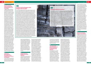 100 preguntas, 100 respuestas                                                                                                                                                                               andalUCía InnOVa. FEBRERO 2011



     84                                                                                                                                                                                                         muchos problemas a las espe-
     ¿Existen parejas,
     tríos o cuartetos de                 86                                                                                                                                                                    cies. Son productos generados
                                                                                                                                                                                                                en el gran laboratorio de la vida
     interdependencia en
     un bosque?
                                         ¿Cuáles son los bosques más
                                         antiguos del mundo?
                                                                                                                                  88                                                                            que no entiende patentes ni
                                                                                                                                                                                                                multinacionales, ni de accionis-
     DD Algunos hongos componen-                                                                                                  ¿Cómo se formó el carbón?                                                     tas: sólo de salud. Los bosques
     tes de las micorrizas no salen      DD primeros bosques de la Tierra se desarrollaron en el De-
                                            Los                                                                                                                                                                 son un paradigma de biodiver-
     a la superficie terrestre para      vónico superior (Era primaria o Paleozoico, unos 380 millones                            DDcarbón procede de restos vegetales leñosos del período geológico
                                                                                                                                     El                                                                         sidad, madurez y estabilidad,
     dispersar sus esporas, sino que     de años atrás), formados por helechos arborescentes de hasta                             denominado Carbonífero, hace entre 360 y 286 millones de años. El ma-         su equilibrio se ha logrado en
     forman sus cuerpos fructíferos      30 m de altura. Muchas de estas especies desaparecieron a                                terial que permitió a las plantas formar estructuras que las levantaran       un largo proceso evolutivo.
     bajo tierra, como por ejemplo       final del Paleozoico, quedando únicamente representantes de                              del suelo y competir por la luz es la lignina, un polisacárido complejo que   A lo largo de dicho proceso,
     las trufas. Por otro lado, exis-    pequeño tamaño. Los grupos más antiguos de árboles, supervi-                             constituye el leño o madera. Se conoce que el desarrollo evolutivo de la      especialmente en las selvas
     ten animales que se sienten         vientes de esta Era, son las ginkgoáceas y pináceas (Carbonífero                         lignina se produjo hace 400 millones de años. Sin embargo, los prime-         ecuatoriales (hoy en peligro por
     atraídos por este hongo y que       superior), a las que pertenecen especies como el actual ginkgo                           ros organismos con herramientas químicas (enzimas) para degradar              la actividad humana), se han
     se convierten en distribuido-       o las actuales coníferas (pinos, abetos). En el Ártico canadiense                        eficientemente la lignina (hongos) no se desarrollaron en cantidad sufi-      generado, de forma evolutiva,
     res de esporas; éstas llegan al     existen los restos de un bosque fósil datado de unos 55 millo-                           ciente hasta hace 200 millones de años, es decir, unos 100 millones de        los mayores supermercados
     intestino de los mismos y son       nes de años atrás, cuando Norteamérica, el norte de Groen-                               años después del periodo de máxima deposición de carbono orgánico.            farmacéuticos del planeta. De-
     expulsadas en sus excremen-         landia y Europa se encontraban unidas formando parte de un                               Debido al lapso de tiempo que pasó entre el periodo en que el conteni-        beríamos conocerlos, respetar
     tos (dispersión), como ocurre       mismo continente bajo un clima mucho más cálido. Algunos                                 do en lignina de la materia vegetal era máximo y la aparición de estos        a sus moradores y legítimos
     con las ardillas voladoras en       de los árboles petrificados se encuentran todavía en pie como                            orga¬nismos capaces de degradar estas ligninas, se formó una inmensa          dueños y establecer con ellos
     los bosques de coníferas de la      cuando tenían vida y formaban una densa selva. En la actual                              reserva de materia orgánica. Esta reserva se transformó, con el tiempo,       una cooperación que permita
     costa del Pacífico. Este dúo de     estepa patagónica encontramos los bosques petrificados de                                en combustibles fósiles que constituyen la mayor parte de los recursos        conocer sus recursos farmaco-
     interdependencia (coníferas/        araucarias que se extinguieron con la actividad volcánica que                            actuales de carbón.                                                           lógicos de forma cohesiva y so-
     trufas) se convierte en un trío:    levantó la cordillera de los Andes: hablamos de más de 50 mi-                                                                                                          lidaria, generando riqueza para
     la ardilla consigue agua y nu-      llones de años. En el norte de España se han hallado bosques                                                                                                           ellos, compatible con el mante-
     trientes del hongo y cobijo del     fósiles de secuoyas de hace tres millones de años, similares a las                                                                                                     nimiento de sus ecosistemas y
     árbol (las coníferas); el hongo     del litoral de California, al oeste de Norteamérica, o en los bos-                                                                                                     salud para el resto del planeta
     consigue hidratos de carbono        ques de China. Pinos de especies que ya no existen en la cuenca                                                                                                        sin codicias.
     (entre otros compuestos) del        mediterránea, cipreses y hasta gigantescas secuoyas poblaban
     árbol y transporte de esporas       entonces la cornisa cantábrica. Pero el árbol vivo más antiguo                                                                                                         90
     por las ardillas. En ocasiones      identificado en el planeta lo encontramos en Dalarna (Suecia):                                                                                                         ¿Existe una mística
     este trío armonioso puede           se trata de una pícea (Picea abies) cuya parte aérea, de apenas                                                                                                        relativa a los árboles?
     convertirse en un cuarteto, por     4 m de altura, está datada en 600 años de edad, mientras que                                                                                                           DD Desde los tiempos más remo-
     ejemplo, en el caso de la planta    sus raíces presentan una edad de 9.550 años y la capacidad de                                                                                                          tos de la historia de la humani-
     herbácea Monotropa uniflora         producir nuevos troncos cuando los viejos mueren.                                                                                                                      dad, el árbol ha sido fuente de
     (Familia Pyrolaceae), con un pá-                                                                                                                                                                           beneficios y misterio. Hay una
     lido tallo fantasmal, que vive en                                                                                                                                                                          mística alrededor del árbol. Por
     las partes más oscuras del bos-                    poder de penetrabilidad en el       de estos compuestos volátiles       La duración en el ambiente de      jidad del enclave natural. En                ejemplo, todos los dioses grie-
     que. Esta planta está tan falta                    aire que el agudo, pudiendo ser     representa un gran tesoro de        estos compuestos, desde que        el bosque, la biodiversidad, el              gos y romanos tenían un árbol
     de pigmentación que a veces                        oído desde mayores distancias.      la biodiversidad de nuestros        una planta los produce, puede      nicho, el mutualismo, la com-                o un tipo de bosque dedicado
     se le llama flor cadáver (más                      Los sonidos agudos, en cambio,      bosques. Entre estos com-           ser desde unos pocos minutos       partimentación han generado                  a su mayor gloria. A Júpiter, la
     común, pipa india). Al carecer                     rebotan con mayor asiduidad         puestos aparecen sustancias         hasta incluso horas.               una compleja comunidad con                   encina, y a Baco, la higuera.
     de clorofila no puede realizar la                  contra los árboles y arbustos       tales como terpenos, isopreno,                                         muchas especies. Esto signi-                 Los más antiguos santuarios
     fotosíntesis; sus raíces se unen                   del bosque, siendo más uti-         ácidos orgánicos, metanol o         89                                 fica que hay una multitud de                 germánicos eran los bosques
     a la estera fúngica, de la que                     lizados por los animales que        acetona. Este tipo de compues-      ¿Por qué se dice                   soluciones metabólicas para                  naturales. Entre los celtas, es
     absorben todo el alimento que,                     habitan zonas abiertas. Como        tos son producidos en una gran      que los bosques son                solucionar el “problema am-                  familiar el culto de los druidas
     por supuesto, no ha producido                      ejemplo de este fenómeno po-        variedad de tejidos vegetales       el supermercado                    biental” de cada especie en un               a los bosques de robles. En el
     el hongo sino que proviene de                      demos citar el grave canto de       y en procesos fisiológicos dis-     farmacéutico del                   marco de máxima diversidad                   África Oriental, la cultura wo-
     las coníferas (sin dar nada a                      la paloma torcaz, el urogallo o     tintos. Entre las funciones que     planeta?                           posible, especialización, utili-             nika imagina que cada árbol,
     cambio ni al hongo ni al árbol).                   la perdiz.                          pueden tener, destacan las de       DD bosques son un ejem-
                                                                                                                                  Los                              zación temporal compartida                   especialmente los cocoteros,
                                                                                            defensa frente a patógenos o        plo de estadio climax de la        de recursos, minimización de                 tienen su propio espíritu, de
     85                                                 87                                  herbívoros, reconocimiento          sucesión ecológica, es decir,      la competencia y sus efectos,                modo que “la destrucción de un
     ¿Cómo son                                          ¿Desprenden los                     entre plantas o con diferentes      constituyen una etapa madura       control depredativo y un largo               árbol es equivalente a un matri-
     generalmente                                       bosques un aroma                    animales y microorganismos,         de la evolución de los ecosis-     etcétera de procesos ecológi-                cidio, pues el árbol les da vida y
     los sonidos de los                                 especial?                           o defensa frente a fenómenos        temas. Por ello, muestran una      cos. Las especies responden                  alimento igual que una madre
     animales que viven en                              DD olores que desprenden los
                                                          Los                               que les causan estrés. Incluso      compleja y rica y estable red      metabólicamente con lo que                   a su criatura”. Los monjes de
     los bosques?                                       bosques se deben, entre otros       se ha comprobado que algunos        trófica, ordenada en comparti-     se llaman productos de meta-                 Siam creen que hay almas por
     DD animales de ecosistemas
        Los                                             motivos, a la gran diversidad       de estos compuestos, como los       mentos (compartimentación).        bolismo secundario. Por ello,                todas partes, por lo cual “no hay
     boscosos densos emiten, gene-                      de compuestos volátiles que         terpenos, pueden estar íntima-      De acuerdo con su clima (cli-      es posible encontrar muchas                  que romper una sola rama de un
     ralmente, sonidos graves. Este                     pueden desprender las plantas       mente relacionados con el de-       max climácica), su madurez         formas químicas generadas                    árbol, como no se rompería el
     tipo de sonido tiene un mayor                      que los componen. La emisión        sarrollo de incendios forestales.   representa la máxima comple-       biológicamente que solucionan                brazo de una persona inocente”.

34                                                                                                                                                                                                                                                   35
 