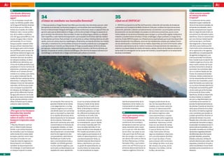 100 preguntas, 100 respuestas                                                                                                                                                                                                        andalUCía InnOVa. FEBRERO 2011



     32                                                                                                                                                                                                                                  37
     ¿De dónde obtienen                                                                                                                                                                                                                  ¿Qué ocurre cuando

                                         34                                                                                             35
     nuestros árboles el                                                                                                                                                                                                                 se rotura la selva
     agua?                                                                                                                                                                                                                               tropical?
     DD el complejo mundo del
         En                              ¿Cómo se combate un incendio forestal?                                                         ¿Qué es el INFOCA?                                                                               DLa evolución de los suelos
                                                                                                                                                                                                                                            D
     suelo, los árboles pueden obte-                                                                                                                                                                                                     depende en gran medida del
     ner el agua de fuentes diversas:    DD que exista un fuego forestal hace falta que coincidan tres elementos que son: calor
                                            Para                                                                                        DD  INFOCA es el acrónimo de Plan de Prevención y Extinción de Incendios de Andalucía            clima. En las zonas tropicales, de
     de la lluvia que se infiltra, de    (temperatura ambiente), comburente (oxígeno) y combustibles (biomasa forestal); juntos         y pertenece a la Consejería de Medio Ambiente. Este plan conlleva tres tipos de acciones:        temperaturas elevadas y abun-
     bolsas acumuladas, de niveles       forman el denominado triángulo del fuego. En estas condiciones, basta un pequeño foco de       prevención, extinción y labores complementarias a la extinción. Las principales acciones         dantes precipitaciones reparti-
     freáticos más o menos profun-       ignición para que se desencadene un fuego. La forma de combatir el fuego es atacando al-       de prevención son las actividades vinculadas a la selvicultura preventiva, que es conve-         das a lo largo de todo el año, se
     dos, de la niebla o condensa-       guno de estos tres elementos. Para combatir el calor se utiliza el agua, debido a su elevado   niente realizar en los terrenos forestales para manejar su combustible vegetal mediante la       encuentran los llamados suelos
     ción del agua atmosférica, o de     calor específico y calor latente de evaporación, que se puede incrementar además median-       creación y mantenimiento de áreas o líneas cortafuegos y fajas auxiliares a lo largo de los      lateríticos. Éstos se caracterizan
     cauces de agua más o menos          te retardantes químicos. Para combatir el comburente se utilizan distintas técnicas de sofo-   caminos. El plan INFOCA posee una infraestructura especializada que le permite desarrollar       por una intensa meteorización
     permanentes. En un mismo            cación, como son arena, espuma y batefuegos y, finalmente, se trata de eliminar con medios     labores de extinción muy eficaces, como son las instalaciones propias que realizan funcio-       química (es decir, una fuerte
     bosque pueden coexistir árbo-       manuales o mecánicos los combustibles cercanos al incendio, evitando así su propagación        nes de coordinación y movilización de los medios disponibles, así como la formación, adies-      desintegración y descomposi-
     les que utilicen distintas fuen-    y extinguiéndose el incendio por falta de éste. El fuego se puede atacar de forma directa,     tramiento y permanencia de los medios humanos, el almacenamiento de materiales y un              ción de la roca madre que for-
     tes de agua, pero ¿cómo hacen       por ejemplo, mediante el avión que vierte agua sobre el incendio, o de forma indirecta, por    sistema muy desarrollado de medios terrestres y aéreos. Dentro de las labores complemen-         ma el suelo como consecuencia
     los científicos para conocer de     ejemplo, limpiando el monte y creando cortafuegos. Otra técnica de ataque indirecto es el      tarias están la investigación de las causas del incendio y la participación en la restauración   de su exposición a los agentes
     qué fuente obtiene el agua una      contrafuego o utilización de un fuego controlado para sofocar el incendio.                     de zonas incendiadas.                                                                            atmosféricos y la participación
     planta? La solución la dan las                                                                                                                                                                                                      de agentes biológicos) y una
     recientes técnicas de análisis                                                                                                                                                                                                      intensa actividad microbiana.
     de isótopos estables, es decir,                                                                                                                                                                                                     Esto impide la acumulación de
     de diferenciar elementos quí-                                                                                                                                                                                                       materia orgánica o humus. Así,
     micos de la tabla periódica que                                                                                                                                                                                                     estos suelos carecen de lo que
     presentan el mismo número de                                                                                                                                                                                                        se llama horizonte A, donde se
     electrones y protones, pero que                                                                                                                                                                                                     acumulan los nutrientes, debi-
     difieren en el número de neu-                                                                                                                                                                                                       do a un intenso lavado por las
     trones en su núcleo y, por tanto,                                                                                                                                                                                                   lluvias. En ausencia de ácidos
     en su peso molecular (las lla-                                                                                                                                                                                                      húmicos, ciertas sustancias co-
     madas formas isotópicas de los                                                                                                                                                                                                      mo los sesquióxidos de hierro y
     elementos, o isótopos). Estos                                                                                                                                                                                                       aluminio son insolubles y preci-
     isótopos sirven de marcadores                                                                                                                                                                                                       pitan formando una costra roji-
     naturales, de forma que pode-                                                                                                                                                                                                       za muy dura llamada laterita en
     mos comparar la proporción                                                                                                                                                                                                          el llamado horizonte B (superfi-
     de isótopos de hidrógeno y oxí-                                                                                                                                                                                                     cie de suelo que se forma bajo
     geno de las diferentes fuentes                                                                                                                                                                                                      el horizonte A). Estos suelos
     de agua del entorno con la del                                                                                                                                                                                                      lateríticos, donde se desarrolla
     agua de los vasos conductores                                                                                                                                                                                                       la selva tropical, se caracteri-
     de las plantas (xilema), e iden-                                                                                                                                                                                                    zan por su baja fertilidad y los
     tificar la fuente que la, planta                tal sensación. Pero vemos los        te por los propios árboles del                         dad de procesamiento de la            hongos productores de se-                         nutrientes se encuentran re-
     utiliza en cada momento.                        grandes árboles de las selvas        bosque a través de las raíces.                         hojarasca y otros restos y su         tas, los hay específicos de la                    tenidos fundamentalmente en
                                                     y nos peguntamos, si no hay          De esta forma, el suelo no es                          incorporación al suelo como           madera, que crecen sobre los                      las plantas. Cuando se rotura la
     33                                              materia orgánica en el suelo,        fértil; la fertilidad se halla en                      nutrientes minerales.                 troncos en descomposición.                        selva para utilizarla como área
     ¿Por qué en los bosques                         ¿de dónde sacan los nutrientes       los árboles, gracias a un rápi-                                                              Otros crecen sobre otros tipos                    de cultivo, la materia orgánica
     boreales hay mucha                              para su biomasa? La clave está       do y eficiente reciclado de los                         36                                   de materia orgánica, tales                        y los nutrientes que quedan se
     materia orgánica                                en la rapidez del proceso de la      nutrientes en el suelo. Este                           ¿Por qué crecen setas                 como excrementos o simple-                        pueden aprovechar durante un
     sobre el suelo y en los                         descomposición en los bosques        proceso de devolución de los                           en los bosques?                       mente sobre suelos orgánicos                      periodo de tiempo muy corto.
     bosques tropicales muy                          de los trópicos. Existe abun-        nutrientes minerales al suelo es                       DD bosques mantienen las
                                                                                                                                                    Los                                (humus). Otros son capaces de                     Pasados dos o tres años, como la
     poca?                                           dancia de nutrientes pero está       la mineralización, que es rápida                       condiciones de humedad y              establecer relaciones simbió-                     cantidad de nutrientes es baja y
     DDResulta llamativo caminar                     concentrada en la biomasa de         en la zonas tropicales pero len-                       temperatura precisas que las          ticas con las raíces de ciertas                   la actividad microbiana es tan in-
     por un determinado bosque                       los grandes árboles. La mate-        ta en las altas latitudes. En las                      setas necesitan para crecer,          especies de plantas, formando                     tensa, todo se ha perdido y don-
     boreal, o por ciertos bosques                   ria orgánica en estos casos se       zonas de latitud más elevada, el                       por lo que son más abundan-           lo que se llaman las mico-                        de existía una selva con multitud
     de montaña, o por los bosques                   descompone por una actividad         frío impide tal proceso y la ma-                       tes en ellos. Las setas no son        rrizas. Entre estos últimos,                      de estratos vegetales (árboles
     sobre dunas de la costa oeste                   enorme de organismos des-            teria orgánica permanece en el                         más que el tipo de fruto que          algunos establecen relaciones                     de diferentes altura formando
     europea y percibir como nues-                   componedores y detritívoros,         suelo sin descomponerse, o con                         dan los hongos, los cuales vi-        con una sola especie de árbol,                    grandes bóvedas, pequeños
     tros pies se hunden en una                      facilitada por la alta hume-         una descomposición lenta. La                           ven dentro del suelo en forma         por lo que las setas o frutos                     árboles y arbustos, hierbas de
     masa de materia orgánica sin                    dad y una temperatura alta y         biodiversidad de descompone-                           de finos filamentos o hilillos        que producen sólo se encuen-                      tamaño descomunal y otras más
     descomponer o en estadios                       estable. Los árboles generan         dores y detritívoros, así como                         llamados hifas, y que crecen          tran debajo de ellos: es el caso                  pequeñas, viviendo en el suelo o
     variables de descomposición.                    mucha materia orgánica, que          su grado de especialización, es                        como una red finísima que se          del níscalo y los pinos, de los                   sobre los árboles) y rica en biodi-
     Sin embargo, si caminamos por                   va al suelo, se descompone y es      mucho menor en estas zonas,                            alimenta descomponiendo la            faisanes y los robles, o de las                   versidad, se ha convertido en un
     un bosque tropical no existe                    captada de nuevo rápidamen-          lo cual empobrece la capaci-                           materia orgánica. Entre los           trufas y las encinas.                             desierto..

16                                                                                                                                                                                                                                                                             17
 