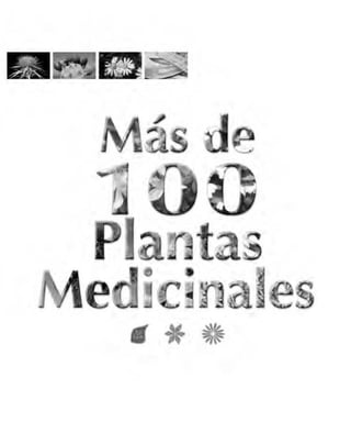 100plantas medicinales canarias