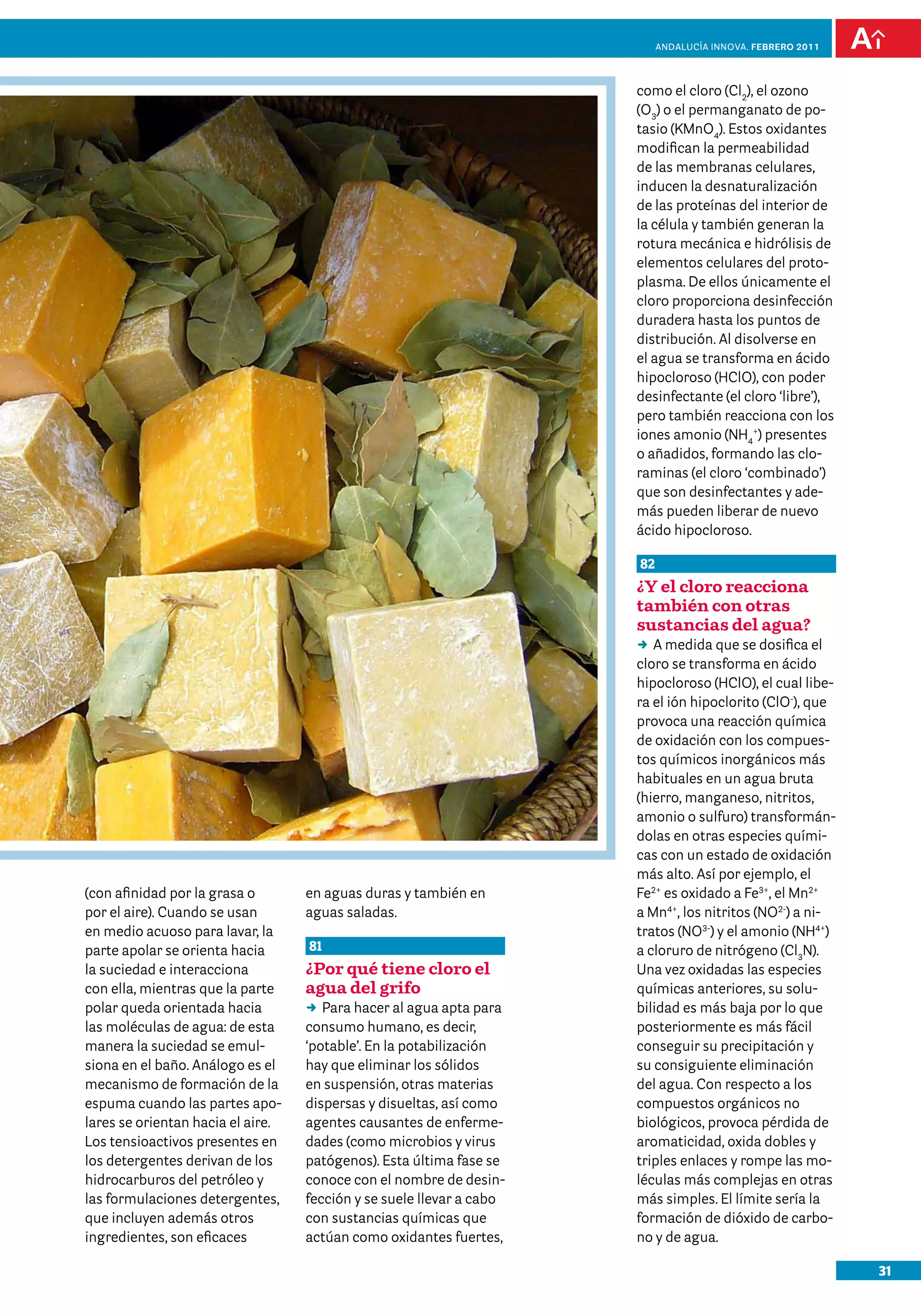 31
Andalucía InNOVA. FEBRERO 2011
(con afinidad por la grasa o
por el aire). Cuando se usan
en medio acuoso para lavar, la
parte apolar se orienta hacia
la suciedad e interacciona
con ella, mientras que la parte
polar queda orientada hacia
las moléculas de agua: de esta
manera la suciedad se emul-
siona en el baño. Análogo es el
mecanismo de formación de la
espuma cuando las partes apo-
lares se orientan hacia el aire.
Los tensioactivos presentes en
los detergentes derivan de los
hidrocarburos del petróleo y
las formulaciones detergentes,
que incluyen además otros
ingredientes, son eficaces
en aguas duras y también en
aguas saladas.
81
¿Por qué tiene cloro el
agua del grifo
DD Para hacer al agua apta para
consumo humano, es decir,
‘potable’. En la potabilización
hay que eliminar los sólidos
en suspensión, otras materias
dispersas y disueltas, así como
agentes causantes de enferme-
dades (como microbios y virus
patógenos). Esta última fase se
conoce con el nombre de desin-
fección y se suele llevar a cabo
con sustancias químicas que
actúan como oxidantes fuertes,
como el cloro (Cl2
), el ozono
(O3
) o el permanganato de po-
tasio (KMnO4
). Estos oxidantes
modifican la permeabilidad
de las membranas celulares,
inducen la desnaturalización
de las proteínas del interior de
la célula y también generan la
rotura mecánica e hidrólisis de
elementos celulares del proto-
plasma. De ellos únicamente el
cloro proporciona desinfección
duradera hasta los puntos de
distribución. Al disolverse en
el agua se transforma en ácido
hipocloroso (HClO), con poder
desinfectante (el cloro ‘libre’),
pero también reacciona con los
iones amonio (NH4
+
) presentes
o añadidos, formando las clo-
raminas (el cloro ‘combinado’)
que son desinfectantes y ade-
más pueden liberar de nuevo
ácido hipocloroso.
82
¿Y el cloro reacciona
también con otras
sustancias del agua?
DD A medida que se dosifica el
cloro se transforma en ácido
hipocloroso (HClO), el cual libe-
ra el ión hipoclorito (ClO-
), que
provoca una reacción química
de oxidación con los compues-
tos químicos inorgánicos más
habituales en un agua bruta
(hierro, manganeso, nitritos,
amonio o sulfuro) transformán-
dolas en otras especies quími-
cas con un estado de oxidación
más alto. Así por ejemplo, el
Fe2+
es oxidado a Fe3+
, el Mn2+
a Mn4+
, los nitritos (NO2-
) a ni-
tratos (NO3-
) y el amonio (NH4+
)
a cloruro de nitrógeno (Cl3
N).
Una vez oxidadas las especies
químicas anteriores, su solu-
bilidad es más baja por lo que
posteriormente es más fácil
conseguir su precipitación y
su consiguiente eliminación
del agua. Con respecto a los
compuestos orgánicos no
biológicos, provoca pérdida de
aromaticidad, oxida dobles y
triples enlaces y rompe las mo-
léculas más complejas en otras
más simples. El límite sería la
formación de dióxido de carbo-
no y de agua.
 