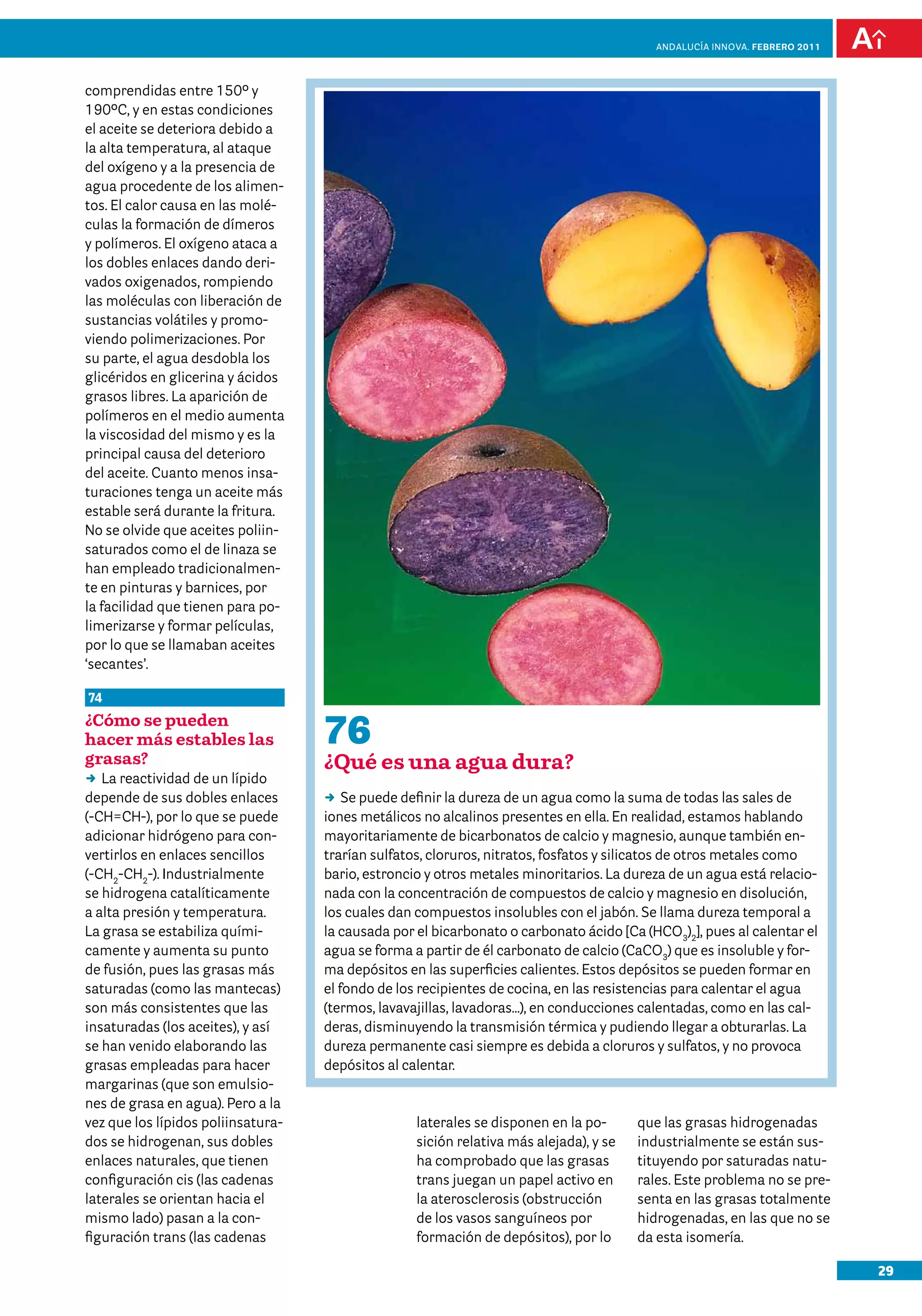 anDalUCÍa innOVa. FEBRERO 2011




comprendidas entre 150º y
190ºC, y en estas condiciones
el aceite se deteriora debido a
la alta temperatura, al ataque
del oxígeno y a la presencia de
agua procedente de los alimen-
tos. El calor causa en las molé-
culas la formación de dímeros
y polímeros. El oxígeno ataca a
los dobles enlaces dando deri-
vados oxigenados, rompiendo
las moléculas con liberación de
sustancias volátiles y promo-
viendo polimerizaciones. Por
su parte, el agua desdobla los
glicéridos en glicerina y ácidos
grasos libres. La aparición de
polímeros en el medio aumenta
la viscosidad del mismo y es la
principal causa del deterioro
del aceite. Cuanto menos insa-
turaciones tenga un aceite más
estable será durante la fritura.
No se olvide que aceites poliin-
saturados como el de linaza se
han empleado tradicionalmen-
te en pinturas y barnices, por
la facilidad que tienen para po-
limerizarse y formar películas,
por lo que se llamaban aceites
‘secantes’.

74
¿Cómo se pueden
hacer más estables las              76
grasas?                             ¿Qué es una agua dura?
DD reactividad de un lípido
   La
depende de sus dobles enlaces       DD puede definir la dureza de un agua como la suma de todas las sales de
                                        Se
(-CH=CH-), por lo que se puede      iones metálicos no alcalinos presentes en ella. En realidad, estamos hablando
adicionar hidrógeno para con-       mayoritariamente de bicarbonatos de calcio y magnesio, aunque también en-
vertirlos en enlaces sencillos      trarían sulfatos, cloruros, nitratos, fosfatos y silicatos de otros metales como
(-CH2-CH2-). Industrialmente        bario, estroncio y otros metales minoritarios. La dureza de un agua está relacio-
se hidrogena catalíticamente        nada con la concentración de compuestos de calcio y magnesio en disolución,
a alta presión y temperatura.       los cuales dan compuestos insolubles con el jabón. Se llama dureza temporal a
La grasa se estabiliza quími-       la causada por el bicarbonato o carbonato ácido [Ca (HCO3)2], pues al calentar el
camente y aumenta su punto          agua se forma a partir de él carbonato de calcio (CaCO3) que es insoluble y for-
de fusión, pues las grasas más      ma depósitos en las superficies calientes. Estos depósitos se pueden formar en
saturadas (como las mantecas)       el fondo de los recipientes de cocina, en las resistencias para calentar el agua
son más consistentes que las        (termos, lavavajillas, lavadoras…), en conducciones calentadas, como en las cal-
insaturadas (los aceites), y así    deras, disminuyendo la transmisión térmica y pudiendo llegar a obturarlas. La
se han venido elaborando las        dureza permanente casi siempre es debida a cloruros y sulfatos, y no provoca
grasas empleadas para hacer         depósitos al calentar.
margarinas (que son emulsio-
nes de grasa en agua). Pero a la
vez que los lípidos poliinsatura-                  laterales se disponen en la po-      que las grasas hidrogenadas
dos se hidrogenan, sus dobles                      sición relativa más alejada), y se   industrialmente se están sus-
enlaces naturales, que tienen                      ha comprobado que las grasas         tituyendo por saturadas natu-
configuración cis (las cadenas                     trans juegan un papel activo en      rales. Este problema no se pre-
laterales se orientan hacia el                     la aterosclerosis (obstrucción       senta en las grasas totalmente
mismo lado) pasan a la con-                        de los vasos sanguíneos por          hidrogenadas, en las que no se
figuración trans (las cadenas                      formación de depósitos), por lo      da esta isomería.

                                                                                                                            29
 