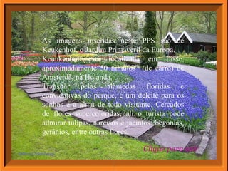 As imagens inseridas neste PPS são de Keukenhof, o Jardim Primaveril da Europa. Keunkenhof está localizada em Lisse, aproximadamente 50 minutos  (de carro) de Amsterdã, na Holanda. Transitar pelas alamedas floridas e convidativas do parque, é um deleite para os sonhos e a alma de todo visitante. Cercados de flores supercoloridas, ali o turista pode admirar tulipas, narcisos e jacintos; begônias, gerânios, entre outras flores. Clique para sair 