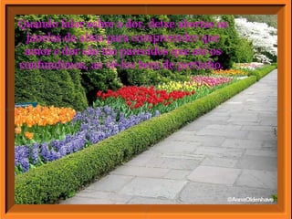 Quando falar sobre a dor, deixe abertas as janelas da alma para compreender que amor e dor são tão parecidos que até os confundimos, ao vê-los bem de pertinho.  