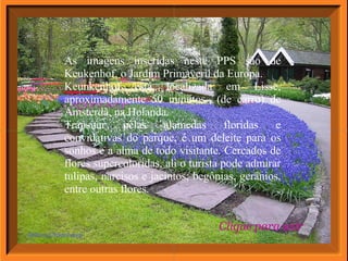 As imagens inseridas neste PPS são de Keukenhof, o Jardim Primaveril da Europa. Keunkenhof está localizada em Lisse, aproximadamente 50 minutos  (de carro) de Amsterdã, na Holanda. Transitar pelas alamedas floridas e convidativas do parque, é um deleite para os sonhos e a alma de todo visitante. Cercados de flores supercoloridas, ali o turista pode admirar tulipas, narcisos e jacintos; begônias, gerânios, entre outras flores. Clique para sair 