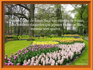 Quando falar de frio, abrace alguém. Quando falar de fome, faça um minuto de jejum, para lembrar daqueles que jejuam todos os dias, mesmo sem querer.  