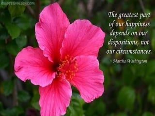 100 Quotes on Happiness