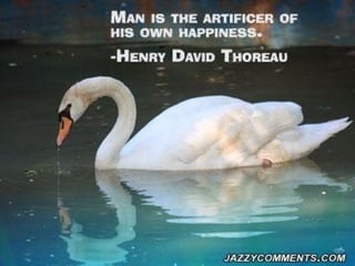 100 Quotes on Happiness