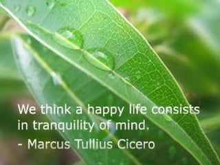 100 Quotes on Happiness