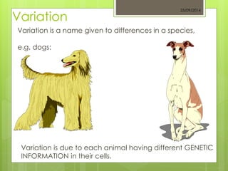 25/09/2014 
Variation 
Variation is a name given to differences in a species, 
e.g. dogs: 
Variation is due to each animal having different GENETIC 
INFORMATION in their cells. 
 