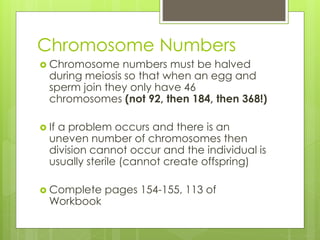 Chromosome Numbers 
 Chromosome numbers must be halved 
during meiosis so that when an egg and 
sperm join they only have 46 
chromosomes (not 92, then 184, then 368!) 
 If a problem occurs and there is an 
uneven number of chromosomes then 
division cannot occur and the individual is 
usually sterile (cannot create offspring) 
 Complete pages 154-155, 113 of 
Workbook 
 