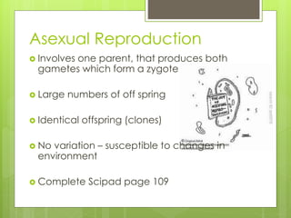 Asexual Reproduction 
 Involves one parent, that produces both 
gametes which form a zygote 
 Large numbers of off spring 
 Identical offspring (clones) 
 No variation – susceptible to changes in 
environment 
 Complete Scipad page 109 
 