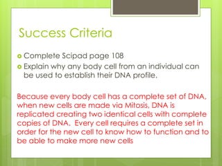 Success Criteria 
 Complete Scipad page 108 
 Explain why any body cell from an individual can 
be used to establish their DNA profile. 
Because every body cell has a complete set of DNA, 
when new cells are made via Mitosis, DNA is 
replicated creating two identical cells with complete 
copies of DNA. Every cell requires a complete set in 
order for the new cell to know how to function and to 
be able to make more new cells 
 