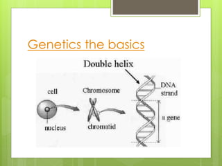 Genetics the basics 
 