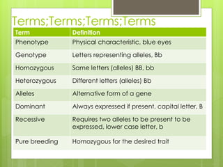 Terms;Terms;Terms;Terms 
Term Definition 
Phenotype Physical characteristic, blue eyes 
Genotype Letters representing alleles, Bb 
Homozygous Same letters (alleles) BB, bb 
Heterozygous Different letters (alleles) Bb 
Alleles Alternative form of a gene 
Dominant Always expressed if present, capital letter, B 
Recessive Requires two alleles to be present to be 
expressed, lower case letter, b 
Pure breeding Homozygous for the desired trait 
 