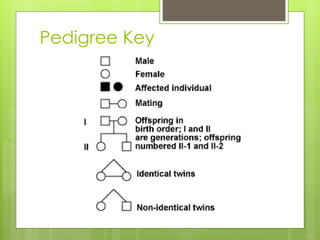 Pedigree Key 
 