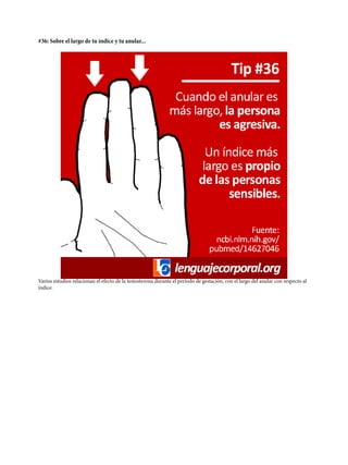 #36: Sobre el largo de tu índice y tu anular...
Varios estudios relacionan el efecto de la testosterona durante el período de gestación, con el largo del anular con respecto al
índice.
 