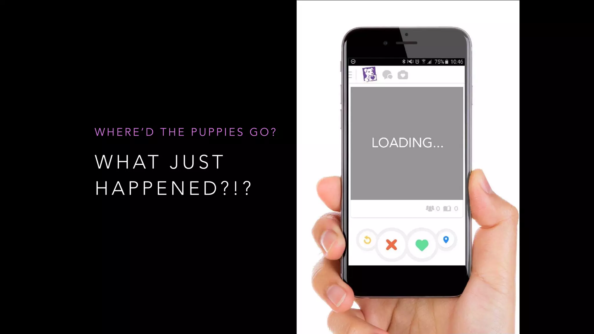 W H AT J U S T
H A P P E N E D ? ! ?
W H E R E ’ D T H E P U P P I E S G O ?
 