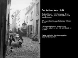 Rue du Chien Marin (1949)  Déjà citée en 1559, la rue du Chien Marin relie la rue de Flandre au Quai aux Briques.  D'où vient cette appellation de "Chien Marin" ?  Diverses légendes évoquant un monstre fabuleux ont été relatées à ce propos.  Cette ruelle fut dès lors appelée Zeehondstraetken. 