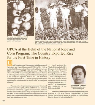 Two tomato lines (VC48-1 and VC11-1)
      proved to be resistant to bacterial wilt,
      early maturing, resistant to heat, and
      yield 10 to 15 tons/hectare.                       Laguna Governor F. San Luis and College officials touring fields planted to Bush sitao in Linga,
                                                         Pila, Laguna. From left to right: Romeo Dizon, Dr. H. von Oppenfeld, Dean D. L. Umali, farm owner
                                                         Manuel San Mateo, Gov. San Luis and A.F. Ventura.




      UPCA at the Helm of the National Rice and
      Corn Program: The Country Exported Rice
      for the First Time in History
      U           mali’s appointment as Undersecretary of the Department of
      Agriculture and Natural Resources (DANR) in May 1966, a
                                                                                          Umali assigned Dr.
                                                                                   Virgilio R. Carangal as DANR’s
      position he held concurrently as Dean, reinforced the ties between           Director of the Intensified
      UPCA on one hand and DANR and the President’s Office on the                  Corn Production Program.10
      other.16, 17 As DANR Undersecretary, Umali became more effective             Carangal promoted the use of
      in redirecting and coordinating agricultural development programs            synthetic varieties (UPCA Var
      in the country. He organized the Rice and Corn Production                    2, 3 and 4 which yielded 12-
      Coordinating Council (RCPCC), a multi-agency organization with               13% more than the hybrid
      representatives from banks and the private sector, including seed            check) and downy-mildew-
      producers.                                                                   resistant varieties (DMR 1, 2,
                                                                                   and 5).17 As a consequence,
             The cooperative rice production program under Umali used corn production in the                                Dr. Virgilio R. Carangal
                                                                                                                            Director, Intensified Corn
      modern rice varieties (IR8, C4-63 and BPI-76) and promoted Philippines doubled.
                                                                                                                               Producrion Program
      judicious use of fertilizers. Applied rice research and extension
      mini-kits were launched by the College in cooperation with DANR                     But Umali’s outstanding services to the Philippines had to come
      and IRRI. All this dramatically increased rice production, and for to an end in 1970, as the Director General of FAO of United
      the first time in history, the Philippines became self-sufficient in rice in Nations courted him to accept the position of FAO Assistant
      1968, and exported rice in 1969.                                             Director General for Asia and the Pacific.

158
 