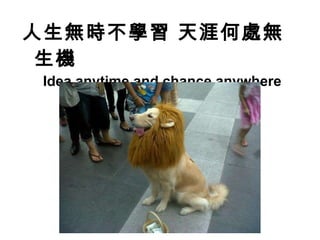 人生無時不學習 天涯何處無生機   Idea anytime and chance anywhere 