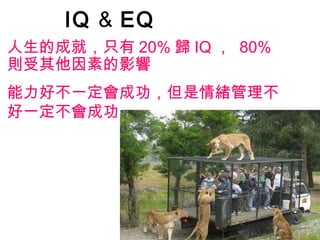 IQ & EQ
人生的成就，只有 20% 歸 IQ ， 80%
則受其他因素的影響
能力好不一定會成功，但是情緒管理不
好一定不會成功
 
