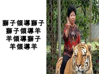 獅子領導獅子
 獅子領導羊
 羊領導獅子
  羊領導羊
 