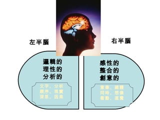 左半腦        右半腦


  邏輯的    感性的
  理性的    整合的
  分析的    創意的
 文字、分析   意像、總體
 順序、現實   同時、想像
 深思、因果   衝動、直覺
 