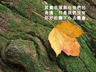 其實幸福就在我們的
身邊，只是我們沒有
好好的靜下心去體會。
 