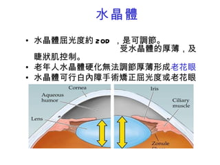 醫學工程概論101 1