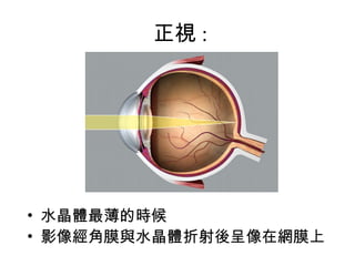 醫學工程概論101 1