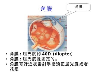 醫學工程概論101 1