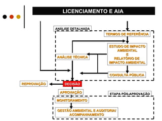 TERMOS DE REFERÊNCIA ESTUDO DE IMPACTO AMBIENTAL E RELATÓRIO DE  IMPACTO AMBIENTAL CONSULTA PÚBLICA REPROVAÇÃO GESTÃO AMBIENTAL E AUDITORIA/ACOMPANHAMENTO LICENCIAMENTO E AIA  ANÁLISE DETALHADA ANÁLISE TÉCNICA DECISÃO ETAPA PÓS-APROVAÇÃO MONITORAMENTO APROVAÇÃO 