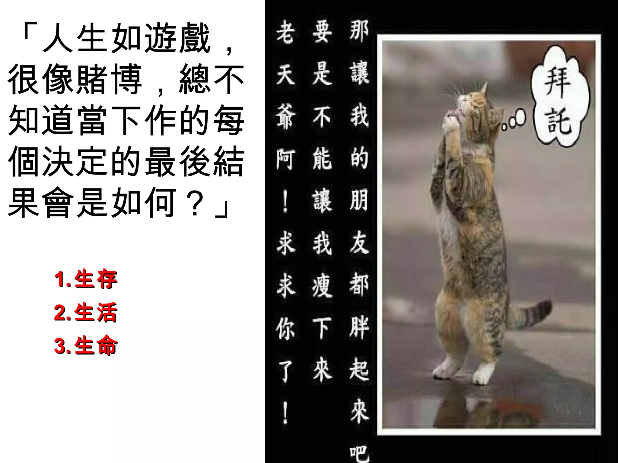 「人生如遊戲，
很像賭博，總不
知道當下作的每
個決定的最後結
果會是如何？」

 1. 生存
 2. 生活
 3. 生命
 