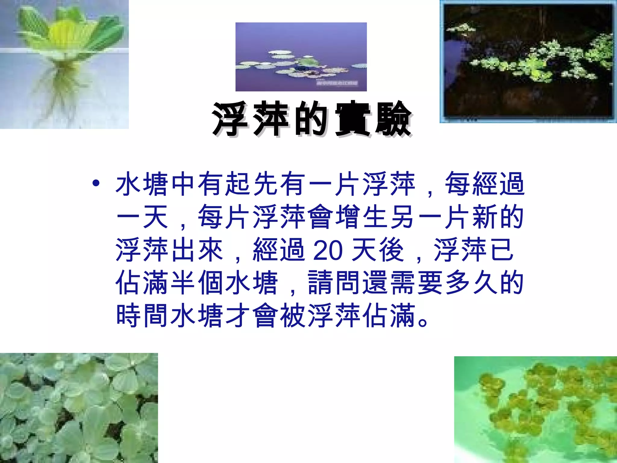 浮萍的實驗
• 水塘中有起先有一片浮萍，每經過
  一天，每片浮萍會增生另一片新的
  浮萍出來，經過 20 天後，浮萍已
  佔滿半個水塘，請問還需要多久的
  時間水塘才會被浮萍佔滿。
 