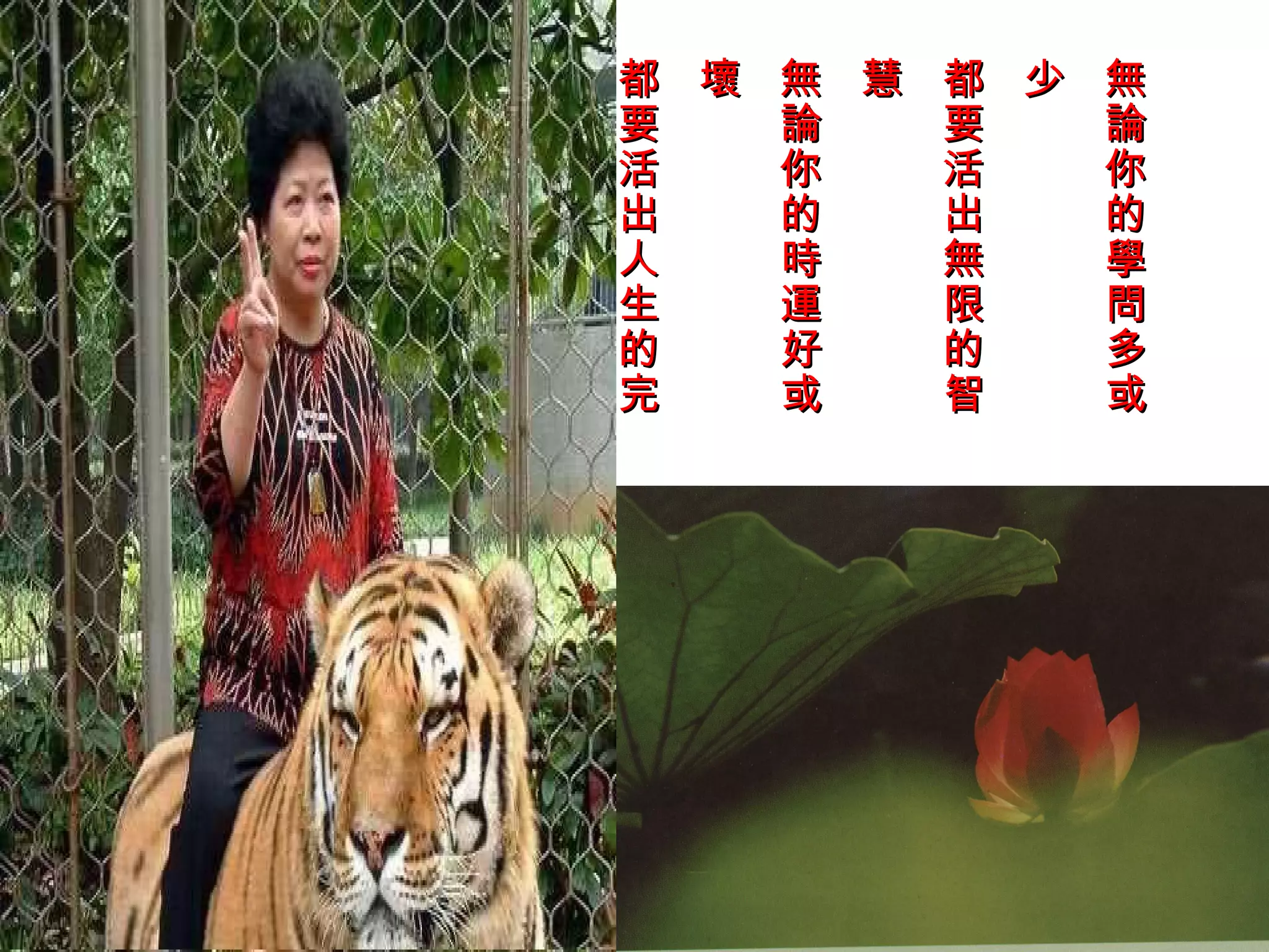 己   都 何 無 美 都 壞 無 慧 都 少 無
    要   論   要   論   要   論
    好   你   活   你   活   你
    好   的   出   的   出   的
    的   未   人   時   無   學
    奉   來   生   運   限   問
    獻   會   的   好   的   多
    自   如   完   或   智   或
 