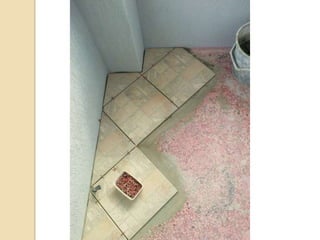 ремонт 101 на тераса