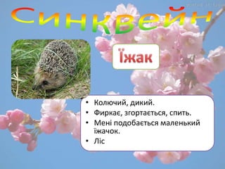• Колючий, дикий.
• Фиркає, згортається, спить.
• Мені подобається маленький
їжачок.
• Ліс
 