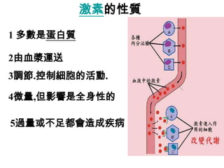101.1(5-3)內分泌

激素的性質

1 多數是蛋白質
2由血漿運送
3調節.控制細胞的活動.
4微量,但影響是全身性的
5過量或不足都會造成疾病

bell5

15

 