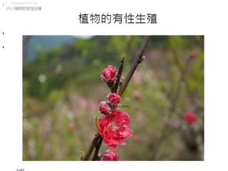 101.2植物的有性生殖