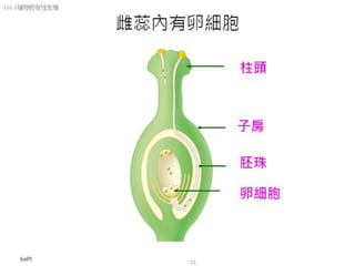 101.2植物的有性生殖