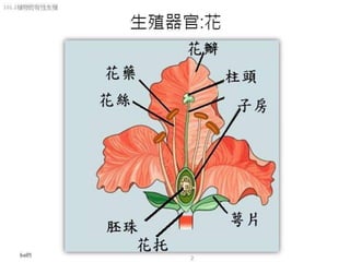 101.2植物的有性生殖