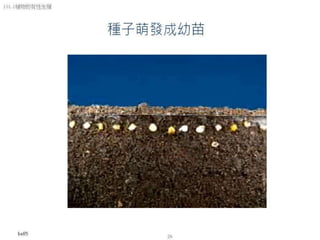 101.2植物的有性生殖